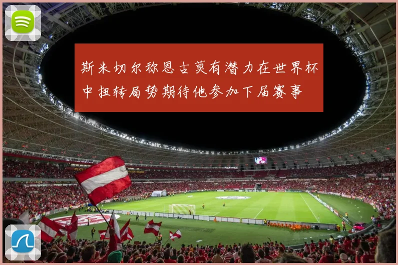 斯米切尔称恩古莫有潜力在世界杯中扭转局势期待他参加下届赛事