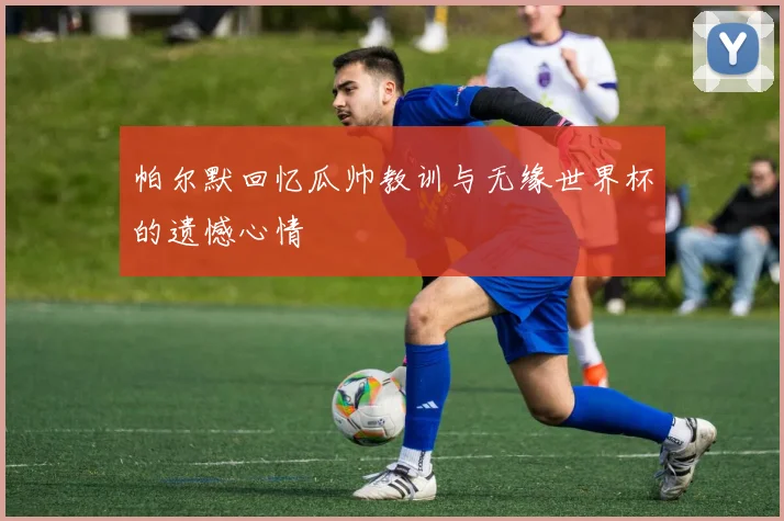 帕尔默回忆瓜帅教训与无缘世界杯的遗憾心情